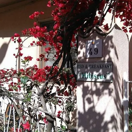 Bed & Breakfast Hibiscus